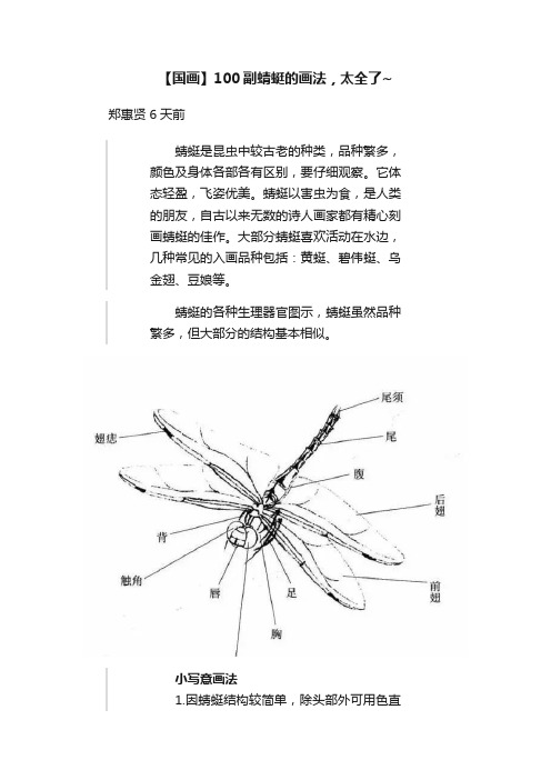 【国画】100副蜻蜓的画法，太全了~