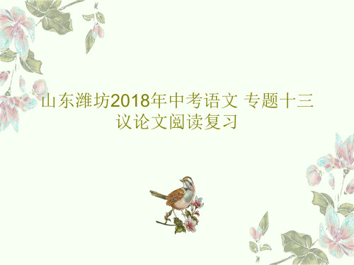 山东潍坊2018年中考语文 专题十三 议论文阅读复习PPT文档45页