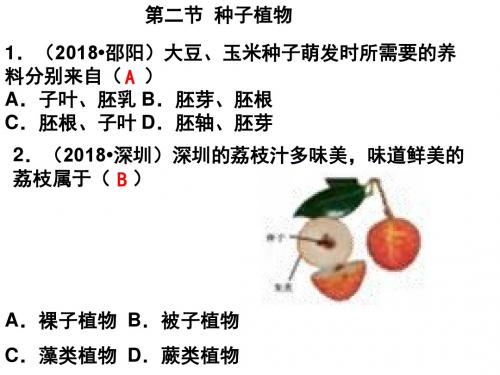 人教版(新课程标准)3.1.2种子植物习题课件(18张PPT)