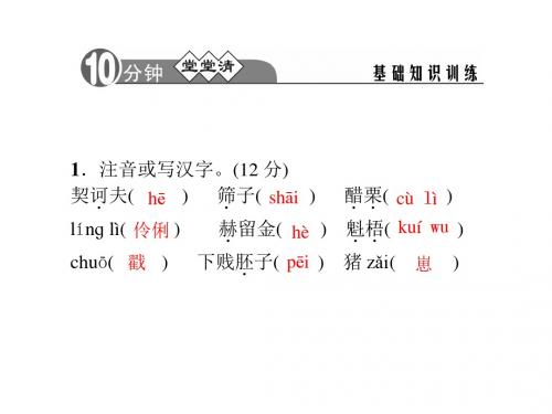 【SQDH】2015-2016学年(人教版)九年级语文下册：7.变色龙 习题课件