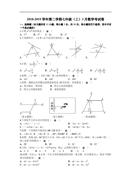 七年级(上)第一次月考数学试卷及参考答案