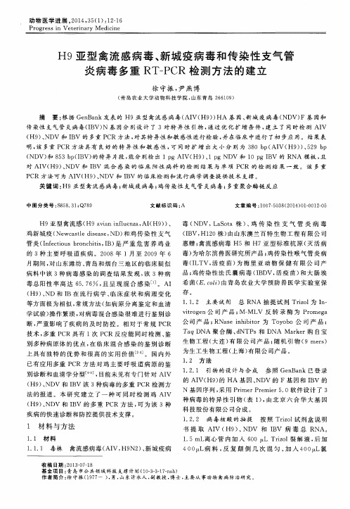 H9亚型禽流感病毒、新城疫病毒和传染性支气管炎病毒多重RT-PCR检测方法的建立