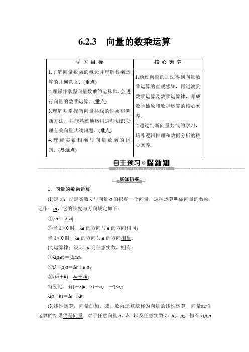 人教A版必修第二册 第6章 6.2.3 向量的数乘运算 学案