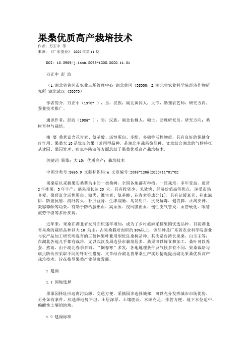 果桑优质高产栽培技术