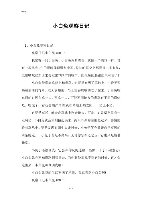 小白兔观察日记