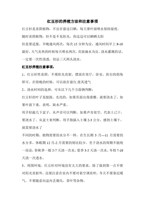 红豆杉的养殖方法和注意事项