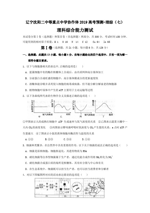 辽宁沈阳二中等重点中学协作体2019高考预测-理综(七)