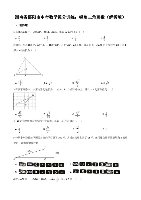 湖南省邵阳市中考数学提分训练：锐角三角函数(解析版)