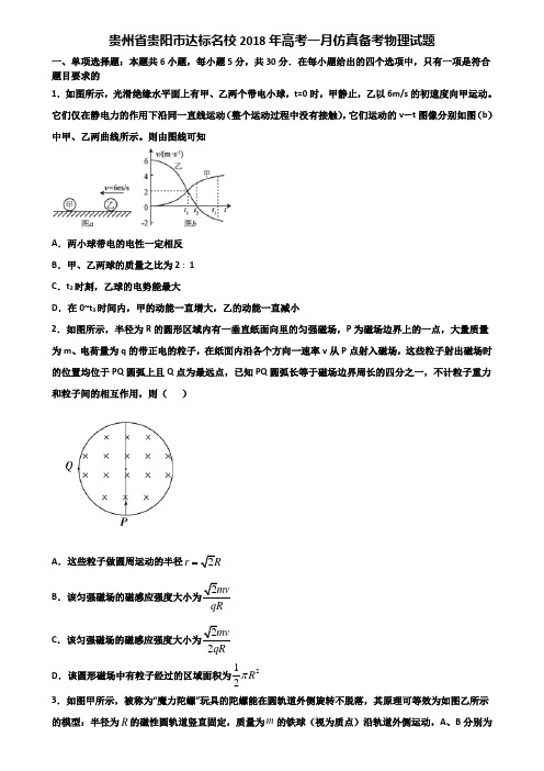 贵州省贵阳市达标名校2018年高考一月仿真备考物理试题含解析