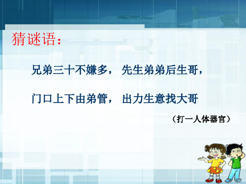 四年级上册科学课件- 4.6 食物在口腔里的变化｜教科版 (共20张PPT)(1)