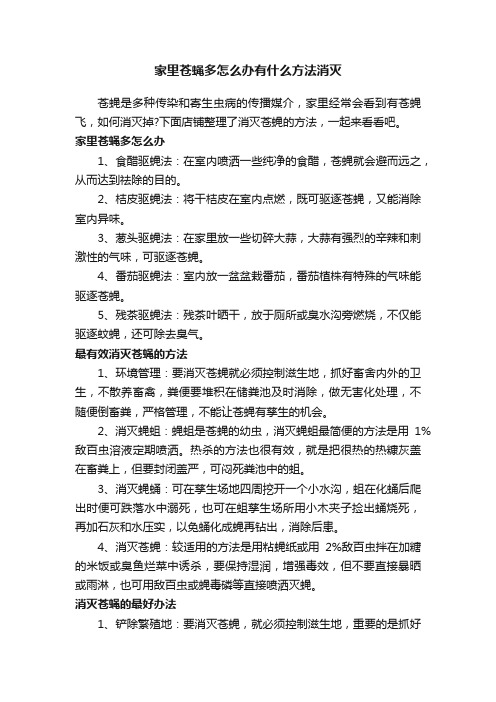 家里苍蝇多怎么办有什么方法消灭