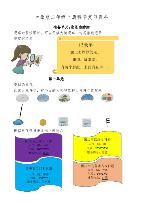 大象版二年级科学上册复习材料