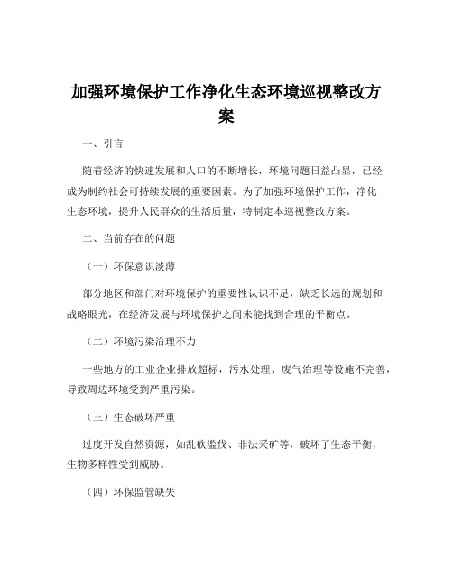 加强环境保护工作净化生态环境巡视整改方案