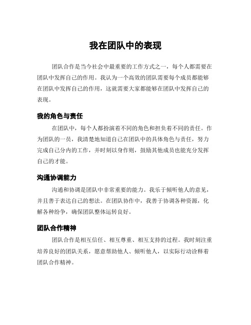 我在团队中的表现