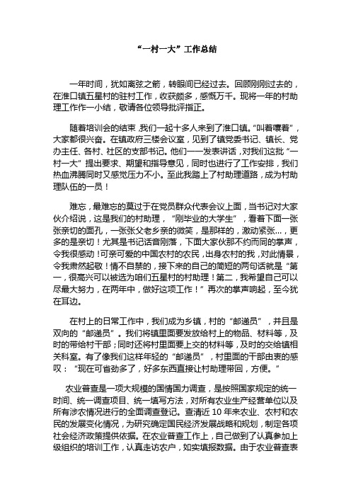 一村一大工作总结