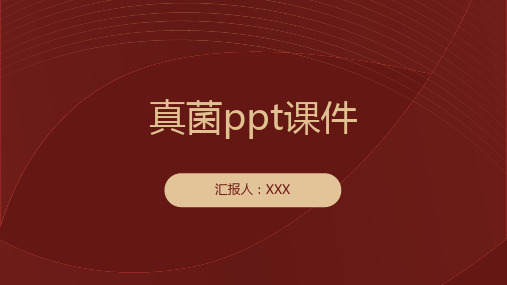 真菌ppt课件