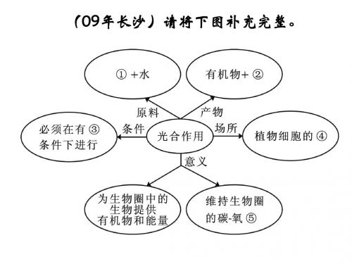 初二生物复习课课件19套-13.ppt