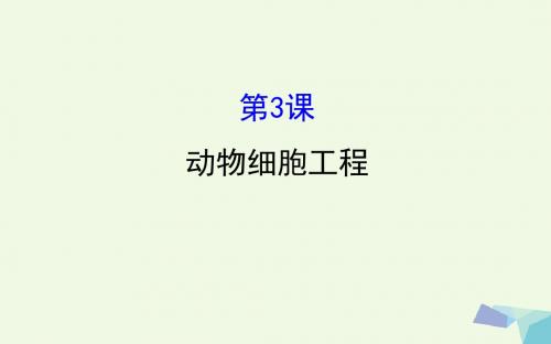 高考生物大一轮复习高考预测现代生物科技专题3.3动物细胞工程课件(选修3)