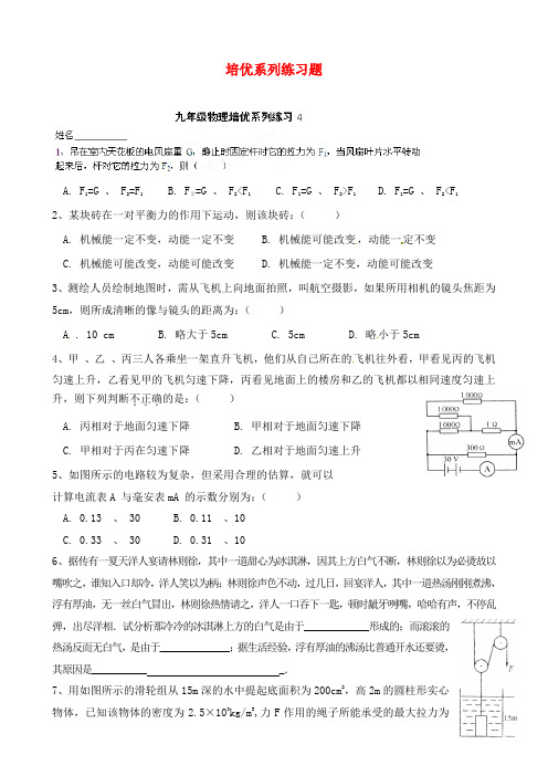 江苏省高邮市车逻初级中学九年级物理 培优系列练习题4(无答案)