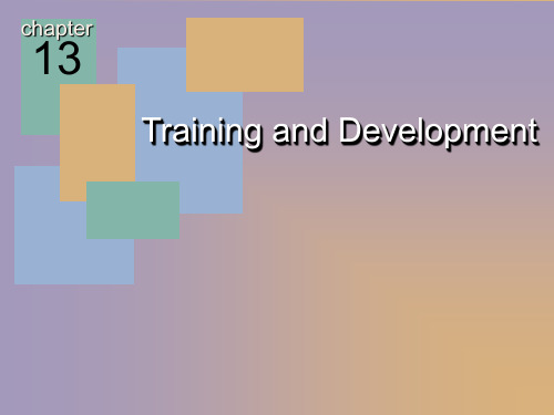 Training and Development(培训和发展)