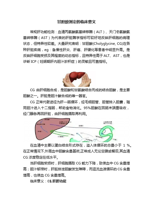 甘胆酸测定的临床意义