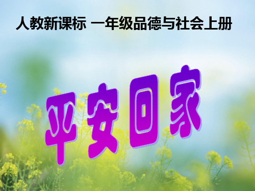 平安回家PPT教学课件