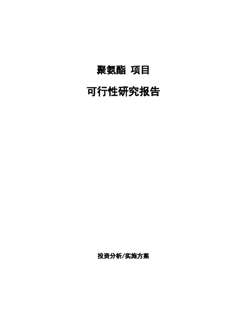 聚氨酯 项目可行性研究报告