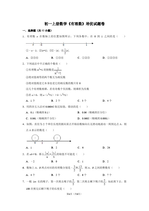 初一上册数学《有理数》培优试题