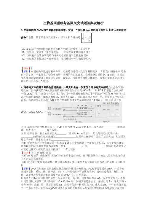 生物基因重组与基因突变试题答案及解析
