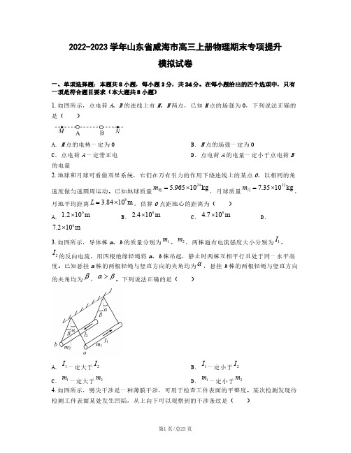 2022-2023学年山东省威海市高三上册物理期末专项提升模拟试卷(含解析)