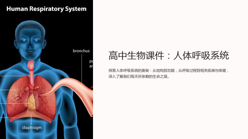 “高中生物课件：人体呼吸系统”