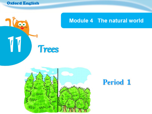 沪教版三年级起点六年级上册英语《Module 4 The natural world 11 Trees 》(一等奖课件) (4)