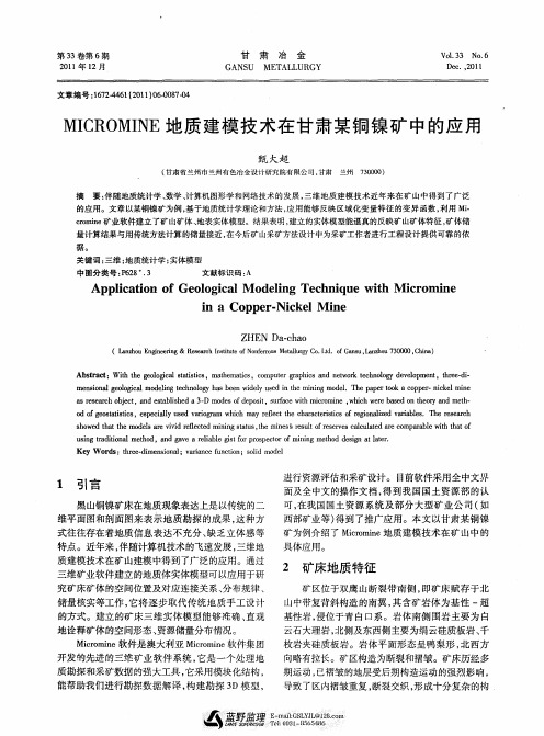 MICROMINE地质建模技术在甘肃某铜镍矿中的应用