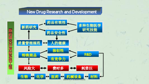 新药研究开发新药研究过程课件