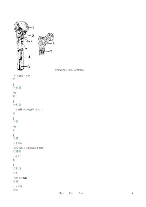 骨的结构  北师大版 (自动保存的)