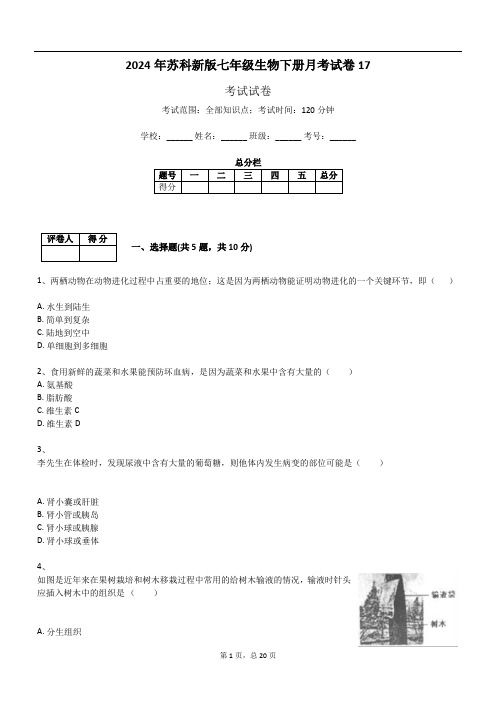 2024年苏科新版七年级生物下册月考试卷17