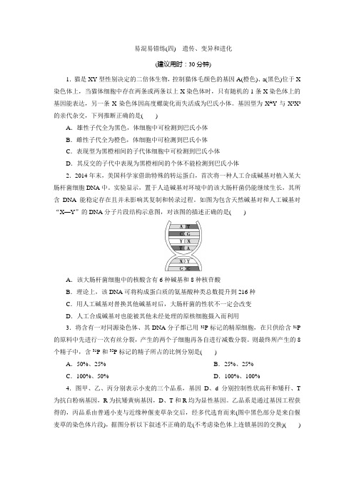 4 易混易错练(四) 遗传、变异和进化