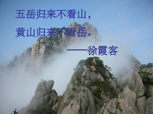 《黄山奇松》公开课