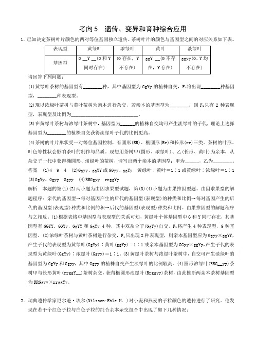 2015届高三生物二轮优化训练：热点考向练5 遗传、变异和育种综合应用