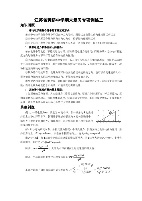 江苏省黄桥中学期末复习专项训练(3-4)