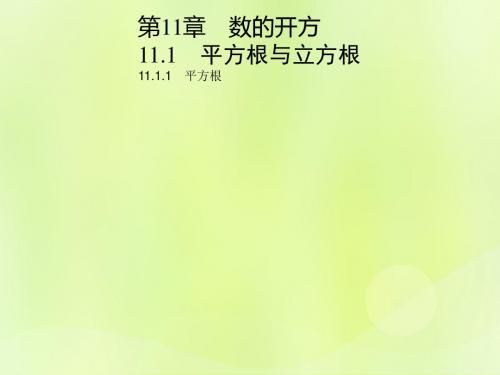 八年级数学上册第11章数的开方11.1平方根与立方根11.1.1平方根习题课件