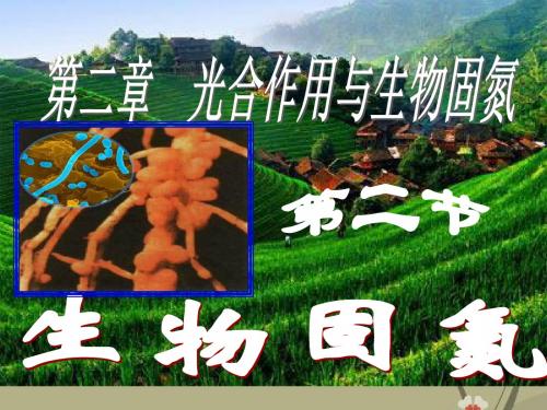 高中生物生物固氮课件一 旧人教 选修