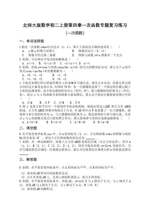 北师大版数学初二上册第四章一次函数专题复习练习