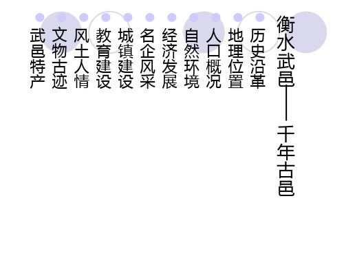 衡水武邑简介