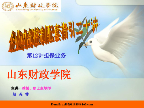 企业内部控制配套指引二十讲12 PPT课件讲义