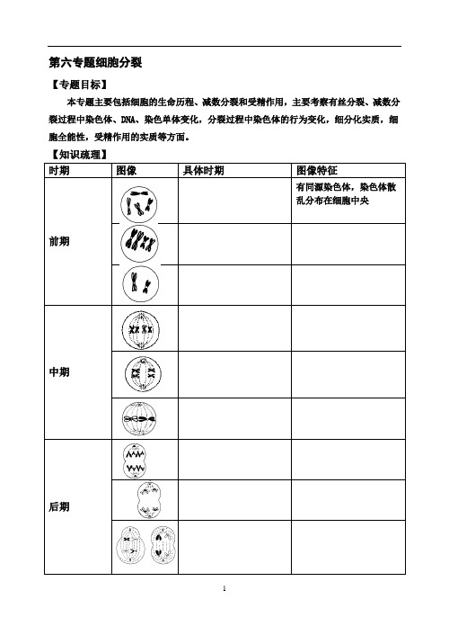 第六专题细胞分裂