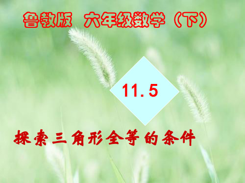 PPT教学课件鲁教版探索三角形全等的条件