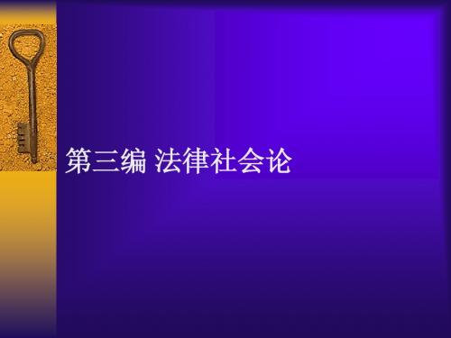 第十七章 法律与社会