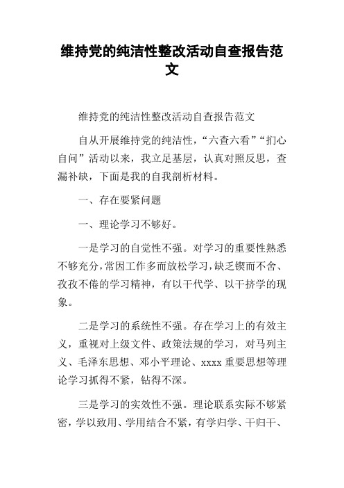 维持党的纯洁性整改活动自查报告范文