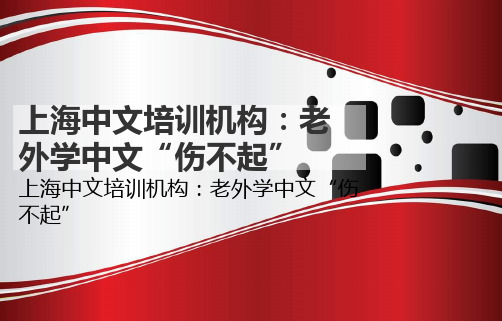 上海中文培训机构：老外学中文“伤不起”